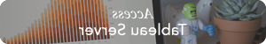 Access Tableau Server